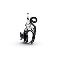 Charm Pandora in Argento 794769C01 - 794769C01